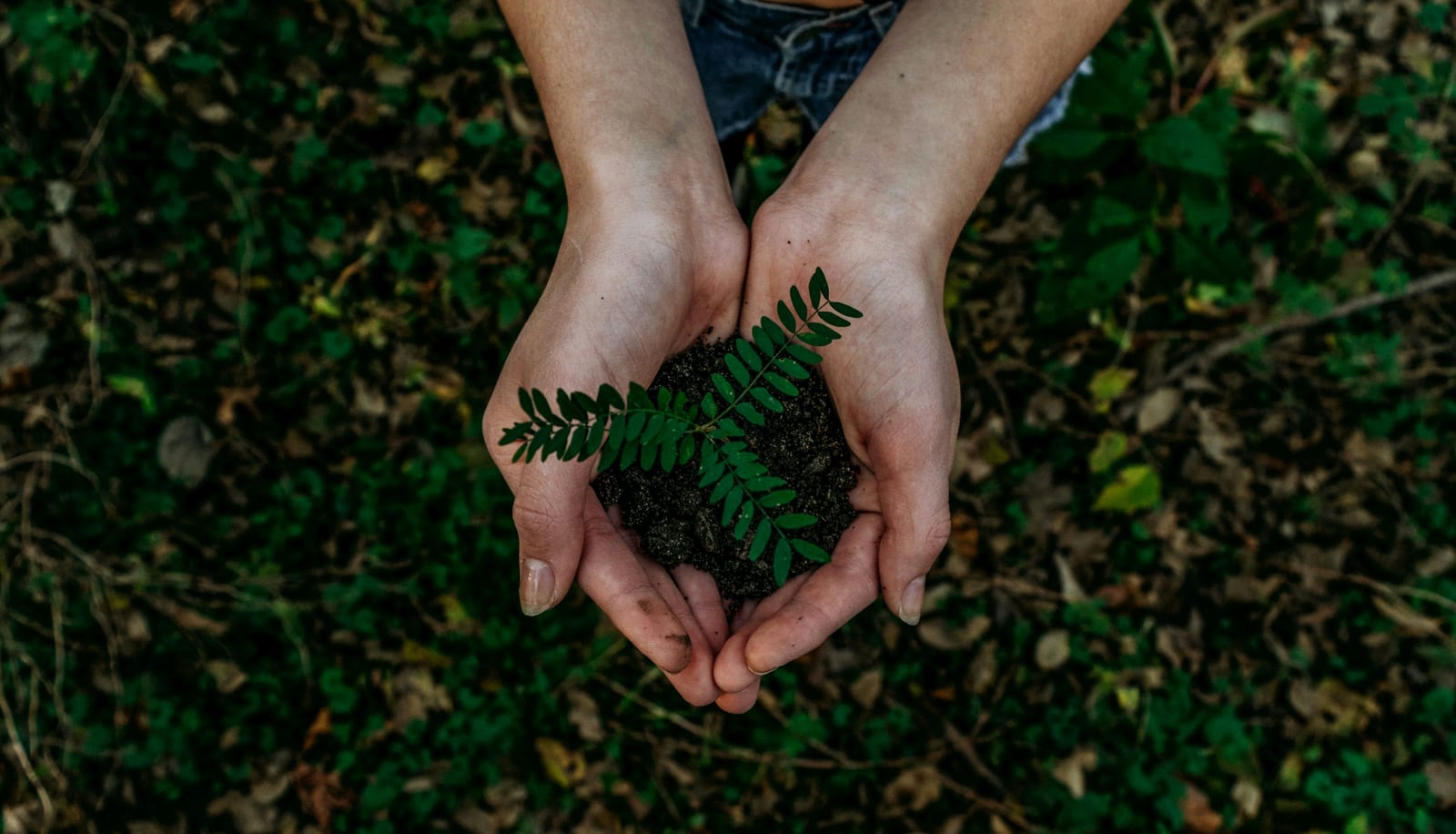 EcoBrands