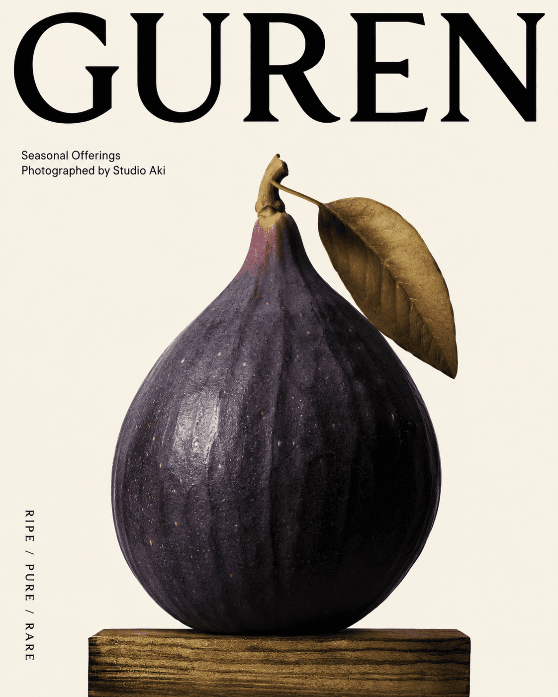 刊物封面与摄影 — Guren
