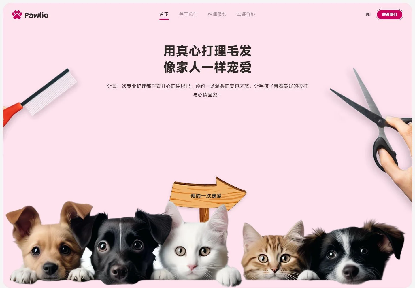 Pawlio desktop home
